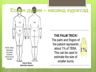 Есийн дүрэм – насанд хүрэгсэд
 