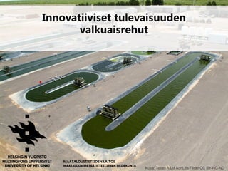 Innovatiiviset tulevaisuuden
valkuaisrehut
12MAATALOUSTIETEIDEN LAITOS
MAATALOUS-METSÄTIETEELLINEN TIEDEKUNTA
Kuva: Texas A&M AgriLife/Flickr CC BY-NC-ND
 