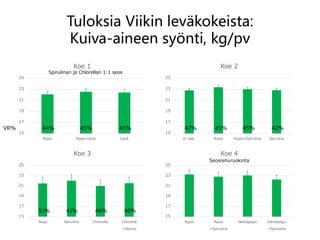 Tuloksia Viikin leväkokeista:
Kuiva-aineen syönti, kg/pv
Spirulinan ja Chlorellan 1:1 seos
15
17
19
21
23
25
Rypsi Rypsi+levä Levä
Koe 1
15
17
19
21
23
25
Ei valk. Rypsi Rypsi+Spirulina Spirulina
Koe 2
15
17
19
21
23
25
Soija Spirulina Chlorella Chlorella
+Nanno
Koe 3
48%
15
17
19
21
23
25
Rypsi Rypsi
+Spirulina
Härkäpapu Härkäpapu
+Spirulina
Koe 4
VR% 44% 45% 45% 47% 45% 45% 42%
51% 41% 40%
Seosrehuruokinta
 