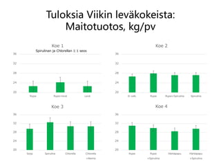 20
24
28
32
36
Rypsi Rypsi+levä Levä
Koe 1
Tuloksia Viikin leväkokeista:
Maitotuotos, kg/pv
Spirulinan ja Chlorellan 1:1 seos
20
24
28
32
36
Ei valk. Rypsi Rypsi+Spirulina Spirulina
Koe 2
20
24
28
32
36
Soija Spirulina Chlorella Chlorella
+Nanno
Koe 3
20
24
28
32
36
Rypsi Rypsi
+Spirulina
Härkäpapu Härkäpapu
+Spirulina
Koe 4
 