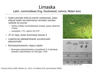 Limaska
Latin. Lemnoideae; Eng. Duckweed, Lemna, Water lens
• Veden pinnalla kelluvia pieniä vesikasveja, jotka
ottavat kaikki tarvitsemansa ravinteet suoraan
vedestä (ei juuria)
– Viihtyy erittäin ravinteikkaissa vesissä, joissa vähäinen
virtaus
– Lämpötila >7℃, optimi 25-31℃
• 37 eri lajia, joista Suomessa kasvaa 5
• Lisääntyvät pääsääntöisesti suvuttomasti
jakautumalla
• Biomassantuotanto riippuu lajista
– Biomassa kaksinkertaistuu tyypillisesti 2-3 päivässä,
joissakin olosuhteissa voi olla jopa <24h
32
Kuva: John/Flickr CC-BY-NC-SA
Kuva: Cheng & Stomp 2009
Cheng & Stomp 2009, Baliban ym. 2013, Yli-Kokkila 2016 (opinnäytetyö JAMK)
 