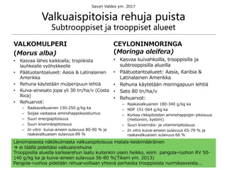 Valkuaispitoisia rehuja puista
Subtrooppiset ja trooppiset alueet
VALKOMULPERI
(Morus alba)
• Kasvaa lähes kaikkialla; tropiikista
lauhkealle vyöhykkeelle
• Päätuotantoalueet: Aasia & Latinalainen
Amerikka
• Rehuna käytetään mulperipuun lehtiä
• Kuiva-ainesato jopa yli 30 tn/ha/v (Costa
Rica)
• Rehuarvot:
– Raakavalkuainen 150-250 g/kg ka
– Soijaa vastaava aminohappokoostumus
– Suuri energiapitoisuus
– Suuri kivennäispitoisuus
– In vitro kuiva-aineen sulavuus 80-90 % ja
raakavalkuaisen sulavuus 89 %
CEYLONINMORINGA
(Moringa oleifera)
• Kasvaa kuivahkoilla, trooppisilla ja
subtrooppisilla alueilla
• Päätuotantoalueet: Aasia, Karibia &
Latinalainen Amerikka
• Rehuna käytetään moringapuun lehtiä
• Sato 80 tn/ha/v
• Rehuarvot:
– Raakavalkuainen 180-340 g/kg ka
– NDF 151-564 g/kg ka
– Korkea rikkipitoisten aminohappojen pitoisuus
(metioniini, kystiini)
– Suuri kivennäis- ja vitamiinipitoisuus
– In vitro kuiva-aineen sulavuus 65-79 % ja
raakavalkuaisen sulavuus 66 %
Marjukka Lamminen
marjukka.lamminen@helsinki.fi
35
Länsimaisesta näkökulmasta valkuaispitoisuus matala-keskimääräinen
 ei täällä pidettäisi valkuaisrehuina
Trooppisilla alueilla karkearehun laatu kuitenkin usein heikko, esim. pangola-ruohon RV 50-
140 g/kg ka ja kuiva-aineen sulavuus 56-80 %(Tikam ym. 2013)
Pangola-ruohoa pidetään rehuarvoiltaan yhtenä parhaista trooppisista nurmikasveista...
Savon Valdes ym. 2017
 