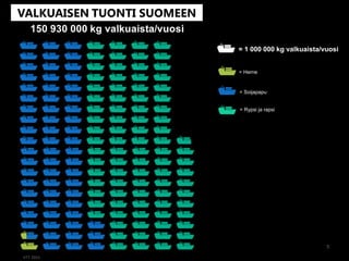 5
= 1 000 000 kg valkuaista/vuosi
= Herne
= Soijapapu
= Rypsi ja rapsi
 