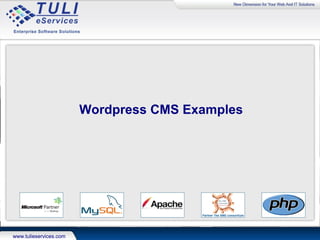 WordPress CMS examples
 