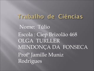 Nome: Túlio
Escola : Ciep Brizolão 468
OLGA TURLLER
MENDONÇA DA FONSECA
Profª Jamille Muniz
Rodrigues
 