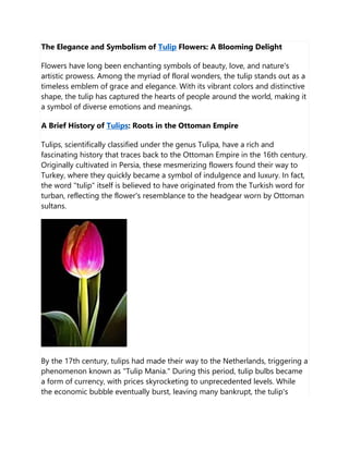 The Elegance and Symbolism of Tulip Flowers: A Blooming Delight
Flowers have long been enchanting symbols of beauty, love, and nature's
artistic prowess. Among the myriad of floral wonders, the tulip stands out as a
timeless emblem of grace and elegance. With its vibrant colors and distinctive
shape, the tulip has captured the hearts of people around the world, making it
a symbol of diverse emotions and meanings.
A Brief History of Tulips: Roots in the Ottoman Empire
Tulips, scientifically classified under the genus Tulipa, have a rich and
fascinating history that traces back to the Ottoman Empire in the 16th century.
Originally cultivated in Persia, these mesmerizing flowers found their way to
Turkey, where they quickly became a symbol of indulgence and luxury. In fact,
the word "tulip" itself is believed to have originated from the Turkish word for
turban, reflecting the flower's resemblance to the headgear worn by Ottoman
sultans.
By the 17th century, tulips had made their way to the Netherlands, triggering a
phenomenon known as "Tulip Mania." During this period, tulip bulbs became
a form of currency, with prices skyrocketing to unprecedented levels. While
the economic bubble eventually burst, leaving many bankrupt, the tulip's
 