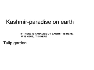 Kashmir-paradise on earth Tulip garden IF THERE IS PARADISE ON EARTH IT IS HERE,  IT IS HERE, IT IS HERE   