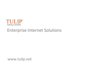 www.tulip.net Enterprise Internet Solutions 