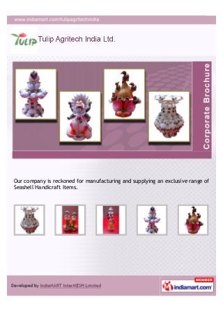 Our company is reckoned for manufacturing and supplying an exclusive range of
Seashell Handicraft Items.
 