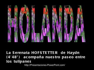 La Serenata HOFSTETTER  de Haydn (4’48”)  acompaña nuestro paseo entre los tulipanes HOLANDA http://Presentaciones-PowerPoint.com/ 