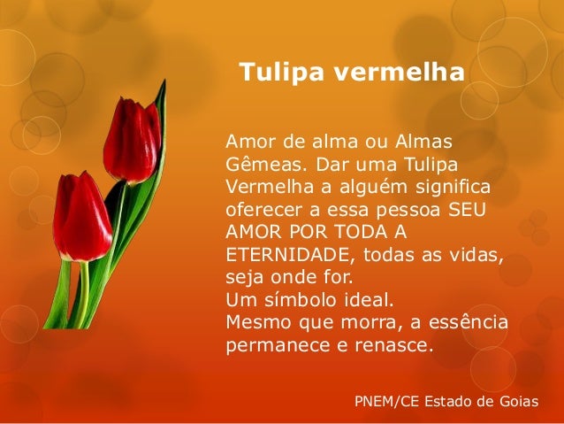 Resultado de imagem para amor de alma