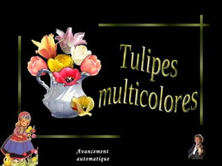Tulipes multicolores Avancement automatique 