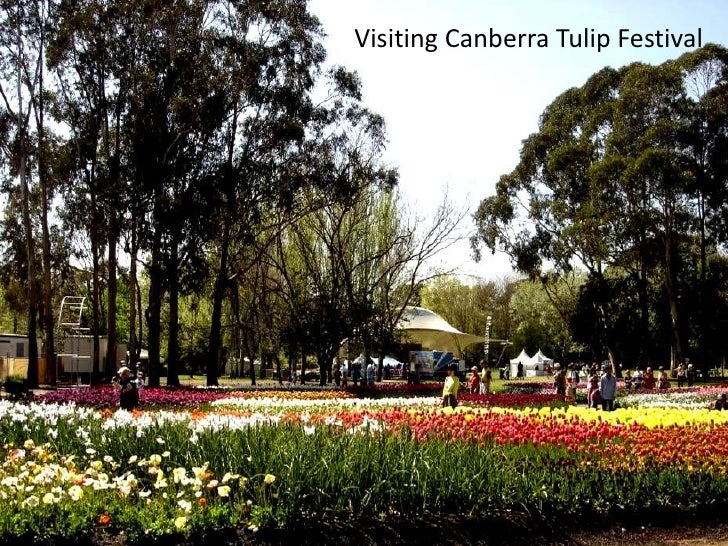 Tulip festival canberra