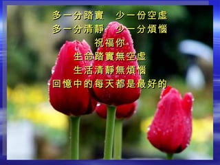 多一分踏實　少一份空虛 多一分清靜　少一分煩惱 祝福你 生命踏實無空虛 生活清靜無煩惱 回憶中的每天都是最好的 