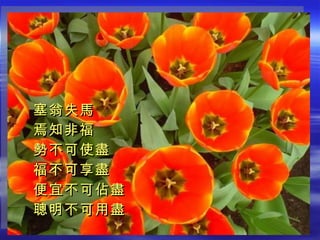 塞翁失馬 焉知非福 勢不可使盡 福不可享盡 便宜不可佔盡 聰明不可用盡 