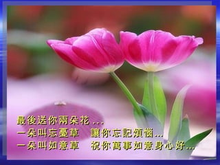 最後送你兩朵花 ... 一朵叫忘憂草　讓你忘記煩惱… 一朵叫如意草　祝你萬事如意身心好… 