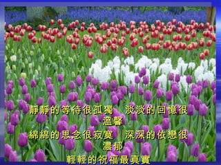 靜靜的等待很孤獨　淡淡的回憶很溫馨 綿綿的思念很寂寞　深深的依戀很濃郁 輕輕的祝福最真實 保持這幸福感覺…   