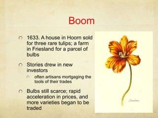 Boom,[object Object],1633. A house in Hoorn sold for three rare tulips; a farm in Friesland for a parcel of bulbs,[object Object],Stories drew in new investors,[object Object],often artisans mortgaging the tools of their trades,[object Object],Bulbs still scarce; rapid acceleration in prices, and more varieties began to be traded,[object Object]