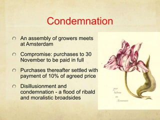Condemnation,[object Object],An assembly of growers meets at Amsterdam,[object Object],Compromise: purchases to 30 November to be paid in full,[object Object],Purchases thereafter settled with payment of 10% of agreed price,[object Object],Disillusionment and condemnation - a flood of ribald and moralistic broadsides,[object Object]