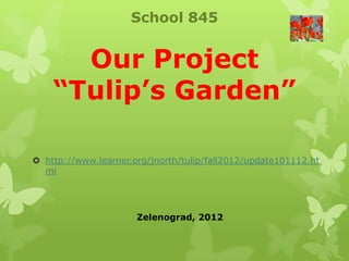 School 845


      Our Project
    “Tulip’s Garden”

 http://www.learner.org/jnorth/tulip/fall2012/update101112.ht
  ml




                      Zelenograd, 2012
 