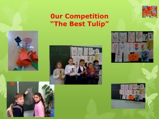 0ur Competition
“The Best Tulip”
 
