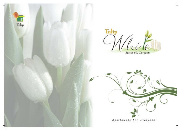 Tulip White - Sector-69, Gurgaon 