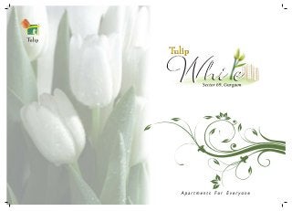 Tulip White Gurgaon