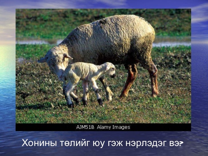 Tul ma2l