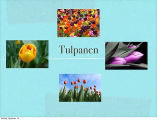 Tulpanen
söndag 25 januari 15
 