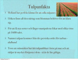 Tulpanfakta
Holland har perfekt klimat för att odla tulpaner.
I löken finns all den näring som blomman behöver för att klara
sig.
För att få nya sorter och färger manipuleras lökar med olika virus
på 1600-talet.
Namnet tulpan kommer från det persiska ordet för turban -
dulband.
Trots att människor har ätit tulpanlökar i brist på mat och att
rådjur är mycket förtjusta i dem - så är de lite giftiga.
söndag 25 januari 15
 