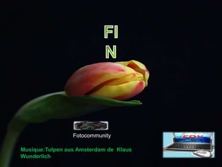 FINFotocommunityMusique:Tulpenaus Amsterdam de  Klaus  Wunderlich