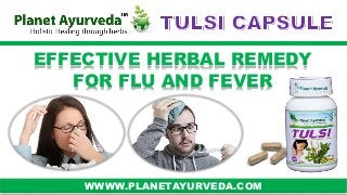 EFFECTIVE HERBAL REMEDY 
FOR FLU AND FEVER 
WWWW.PLANETAYURVEDA.COM 
 