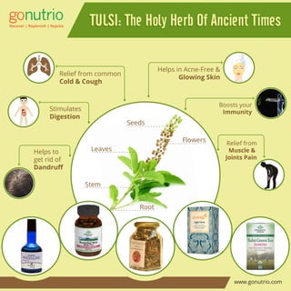 www.gonutrio.com
Helps in Acne-Free &
Glowing Skin
Stimulates
Digestion
Relief from common
Cold & Cough
Helps to
get rid of
Dandruﬀ
Boosts your
Immunity
Seeds
Leaves
Stem
Root
Flowers
TULSI: The Holy Herb Of Ancient TimesTULSI: The Holy Herb Of Ancient Times
Relief from
Muscle &
Joints Pain
 