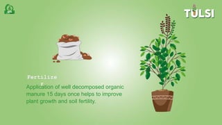 Fertilize
r
Application of well decomposed organic
manure 15 days once helps to improve
plant growth and soil fertility.
 