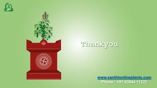 www.santhionlineplants.com
Phone : +91 63844 11222
Thankyou
 