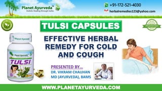 +91-172-521-4030 
herbalremedies123@yahoo.com 
TULSI CAPSULES 
EFFECTIVE HERBAL 
REMEDY FOR COLD 
AND COUGH 
PRESENTED BY… 
DR. VIKRAM CHAUHAN 
MD (AYURVEDA), BAMS 
WWW.PLANETAYURVEDA.COM 
 