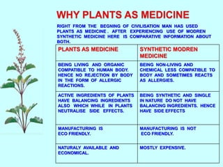 RIGHT FROM THE BEGNING OF CIVILISATION MAN HAS USED
PLANTS AS MEDICINE . AFTER EXPERIENCING USE OF MODREN
SYNTHETIC MEDICINE HERE IS COMPARATIVE INFORMATION ABOUT
BOTH.
PLANTS AS MEDICINE SYNTHETIC MODREN
MEDICINE
BEING LIVING AND ORGANIC
COMPATIBLE TO HUMAN BODY.
HENCE NO REJECTION BY BODY
IN THE FORM OF ALLERGIC
REACTIONS.
BEING NON-LIVING AND
CHEMICAL LESS COMPATIBLE TO
BODY AND SOMETIMES REACTS
AS ALLERGIES.
ACTIVE INGREDIENTS OF PLANTS
HAVE BALANCING INGREDIENTS
ALSO WHICH WHILE IN PLANTS
NEUTRALISE SIDE EFFECTS.
BEING SYNTHETIC AND SINGLE
IN NATURE DO NOT HAVE
BALANCING INGREDIENTS. HENCE
HAVE SIDE EFFECTS
MANUFACTURING IS
ECO FRIENDLY.
MANUFACTURING IS NOT
ECO FRIENDLY.
NATURALY AVAILABLE AND
ECONOMICAL.
MOSTLY EXPENSIVE.
 