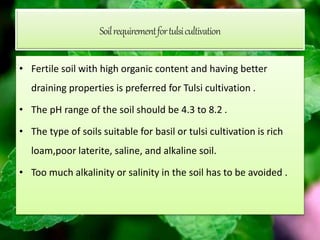 Soilrequirementfortulsicultivation
• Fertile soil with high organic content and having better
draining properties is preferred for Tulsi cultivation .
• The pH range of the soil should be 4.3 to 8.2 .
• The type of soils suitable for basil or tulsi cultivation is rich
loam,poor laterite, saline, and alkaline soil.
• Too much alkalinity or salinity in the soil has to be avoided .
 