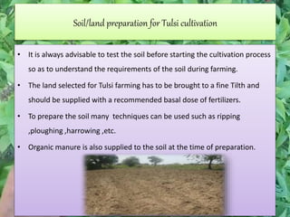 Soil/land preparation for Tulsi cultivation
• It is always advisable to test the soil before starting the cultivation process
so as to understand the requirements of the soil during farming.
• The land selected for Tulsi farming has to be brought to a fine Tilth and
should be supplied with a recommended basal dose of fertilizers.
• To prepare the soil many techniques can be used such as ripping
,ploughing ,harrowing ,etc.
• Organic manure is also supplied to the soil at the time of preparation.
 