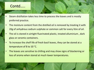Contd…..
• Steam distillation takes less time to process the leaves and is mostly
preferred practice.
• The moisture content from the distilled oil is removed by treating it with
20g of anhydrous sodium sulphate or common salt for every litre of oil.
• The oil is stored in airtight fluorinated plastic, treated alluminium , dark
glass or ceramic containers.
• To increase the shelf life of fresh basil leaves, they can be stored at a
temperature of 8 to 10 °C.
• The leaves are sensitive to chilling and may show signs of blackening or
loss of aroma when stored at much lower temperatures.
 