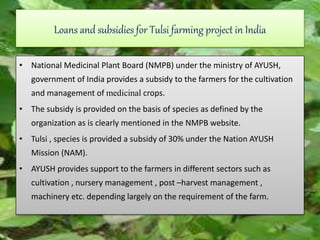 Loans and subsidies for Tulsi farming project in India
• National Medicinal Plant Board (NMPB) under the ministry of AYUSH,
government of India provides a subsidy to the farmers for the cultivation
and management of medicinal crops.
• The subsidy is provided on the basis of species as defined by the
organization as is clearly mentioned in the NMPB website.
• Tulsi , species is provided a subsidy of 30% under the Nation AYUSH
Mission (NAM).
• AYUSH provides support to the farmers in different sectors such as
cultivation , nursery management , post –harvest management ,
machinery etc. depending largely on the requirement of the farm.
 