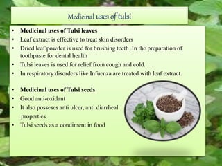 Medicinal uses of tulsi
• Medicinal uses of Tulsi leaves
• Leaf extract is effective to treat skin disorders
• Dried leaf powder is used for brushing teeth .In the preparation of
toothpaste for dental health
• Tulsi leaves is used for relief from cough and cold.
• In respiratory disorders like Infuenza are treated with leaf extract.
• Medicinal uses of Tulsi seeds
• Good anti-oxidant
• It also posseses anti ulcer, anti diarrheal
properties
• Tulsi seeds as a condiment in food
 