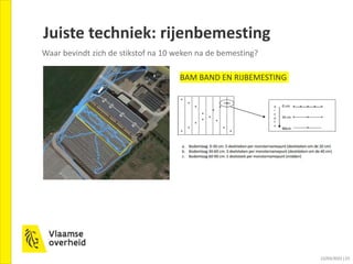 TUM 30 Bemesting in prei - tijdstip, dosis, techniek - Frans en Wouters.pptx