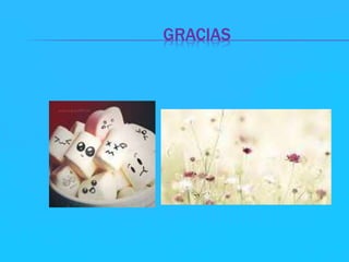 GRACIAS 
