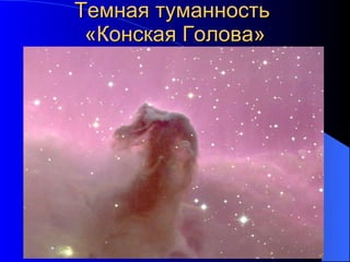 Темная туманность  «Конская Голова» 