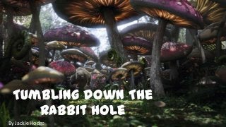 Tumbling Down The
Rabbit Hole
By Jackie Hodge

 