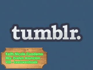 Tumblr Programmer - Comp. Prog