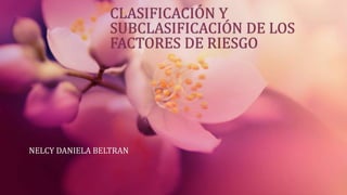 CLASIFICACIÓN Y
SUBCLASIFICACIÓN DE LOS
FACTORES DE RIESGO
NELCY DANIELA BELTRAN
 