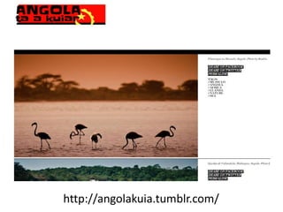http://angolakuia.tumblr.com/
 