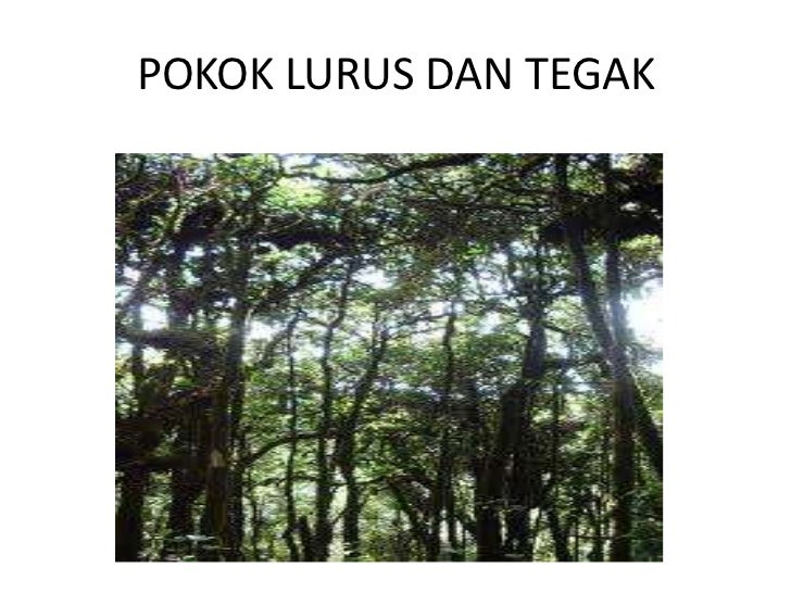 Tumbuh tumbuhan semula jadi dan hidupan liar di malaysia